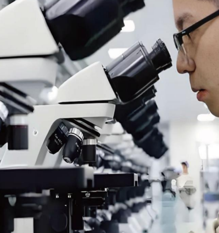 High borosilicate optical glass